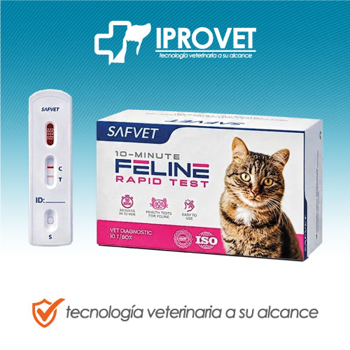 feline rapid test safvett